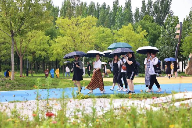 沧州职业技术学院，沧州职业技术学院排行河北（河北2022专科一批志愿分数线疯了）