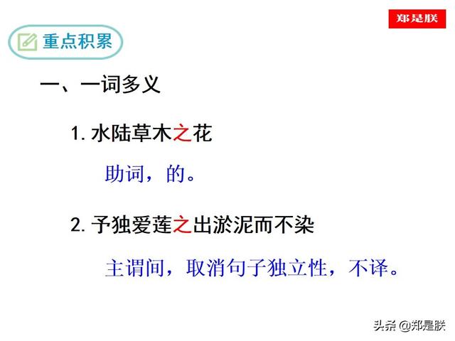 爱莲说原文朗读，爱莲说拼音版原文（部编人教版七年级语文下第17课《爱莲说》周敦颐-诵读+课件）