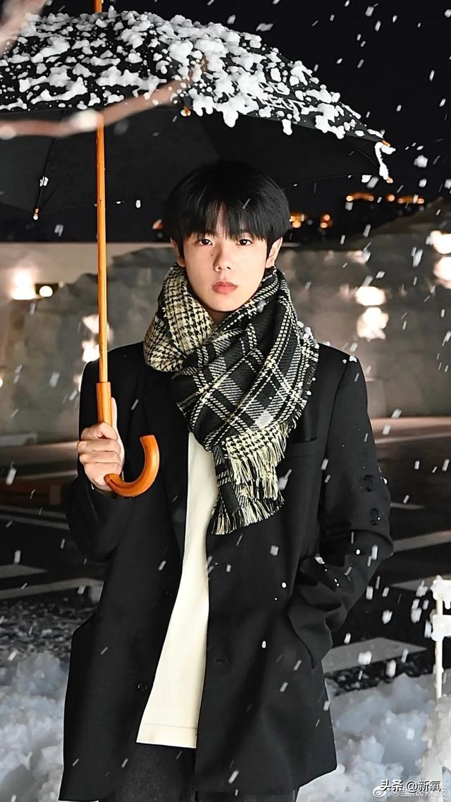 扑棱蛾子是什么梗，扑棱蛾子是什么梗贝斯（听说他换头是靠p的）