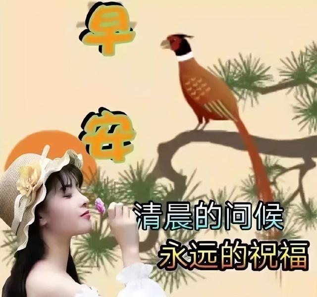 喜乐安康和平安喜乐哪个好，平安喜乐另一种说法（​星期三早上好,平安喜乐,福满安康）