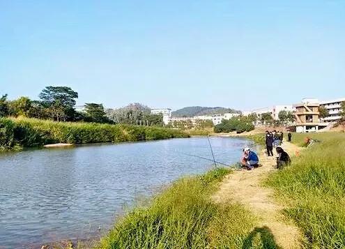深圳哪里可以钓鱼，深圳哪里可以钓鱼野点更好高分哦（深圳这3个地方免费钓鱼）