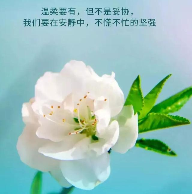 脸部骨头名称分布图，脸部的骨骼肌肉结构及面部审美（为何皮相见美丑，骨相显年轻）