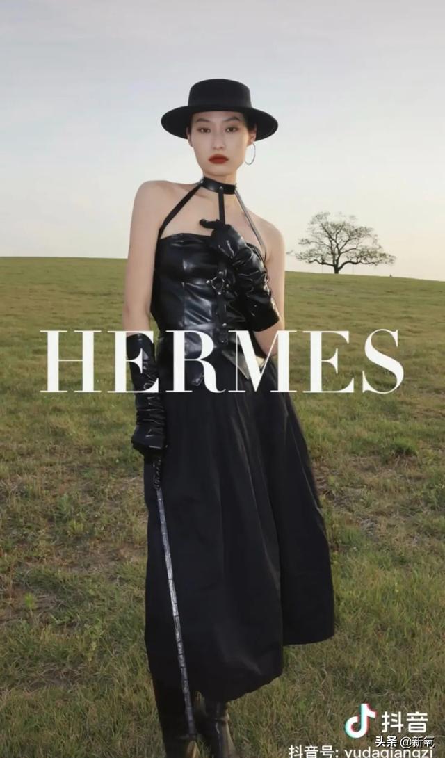 扑棱蛾子是什么梗，扑棱蛾子是什么梗贝斯（听说他换头是靠p的）