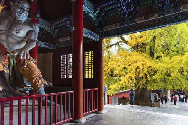 郑州十大著名景点