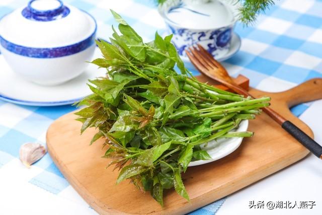 菜图片大全大图，饭店菜谱大全带图片（这43种时令野菜大量生长出来）