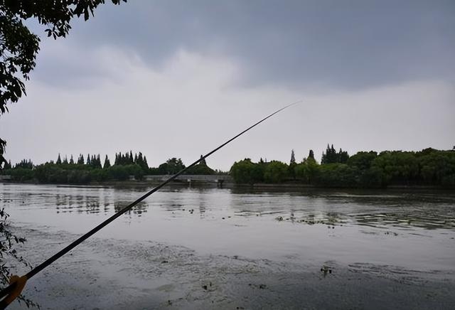钓鱼去哪里，钓鱼可以去哪钓（这4处才有鱼“扎堆”）