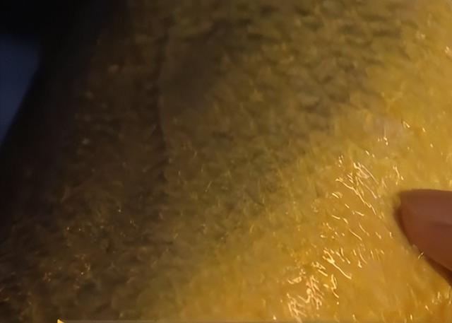 卖金鱼好赚吗，金鱼生意怎么样（别人不支持他偏要瞎折腾）