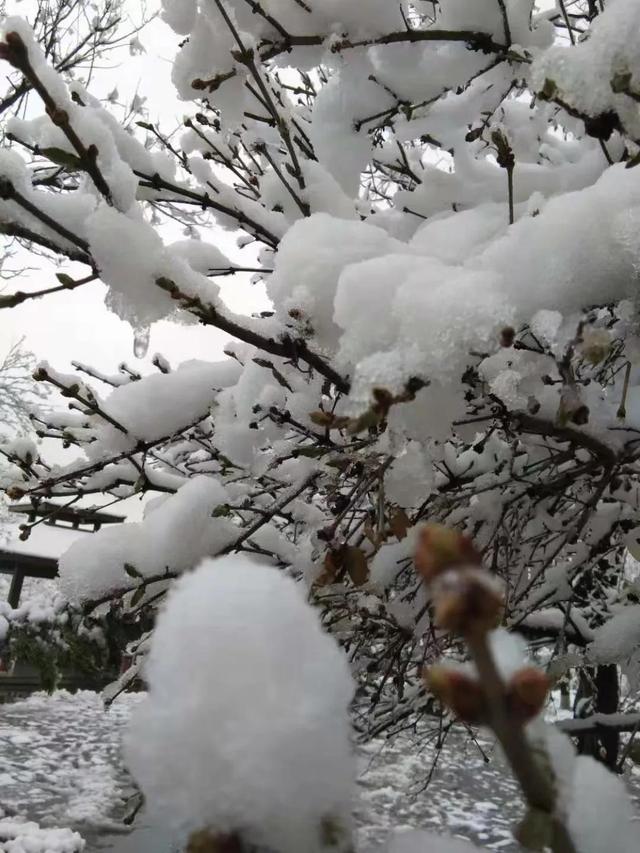 世界十大奢侈品，世界十大奢侈品牌鞋子（世界十大奢侈品手表排名）