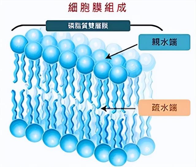 为什么人类要探索外太空，人类为什么不断探索太空（寻找外星生命时为何一定要寻找水）