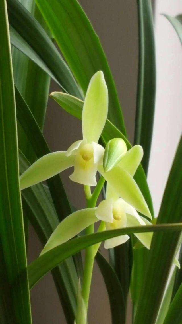 莫等闲下一句，偷得浮生半日闲,人间至味是清欢（永远不要失去发芽的心情）