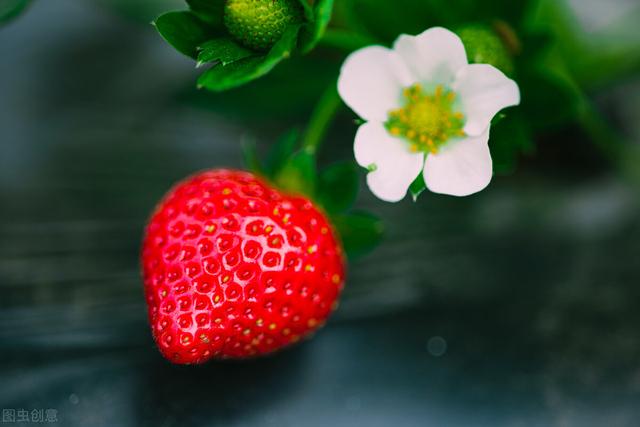 草莓是怎么形成的，白草莓是变异产生的吗（草莓：个大、畸形的是用了激素）