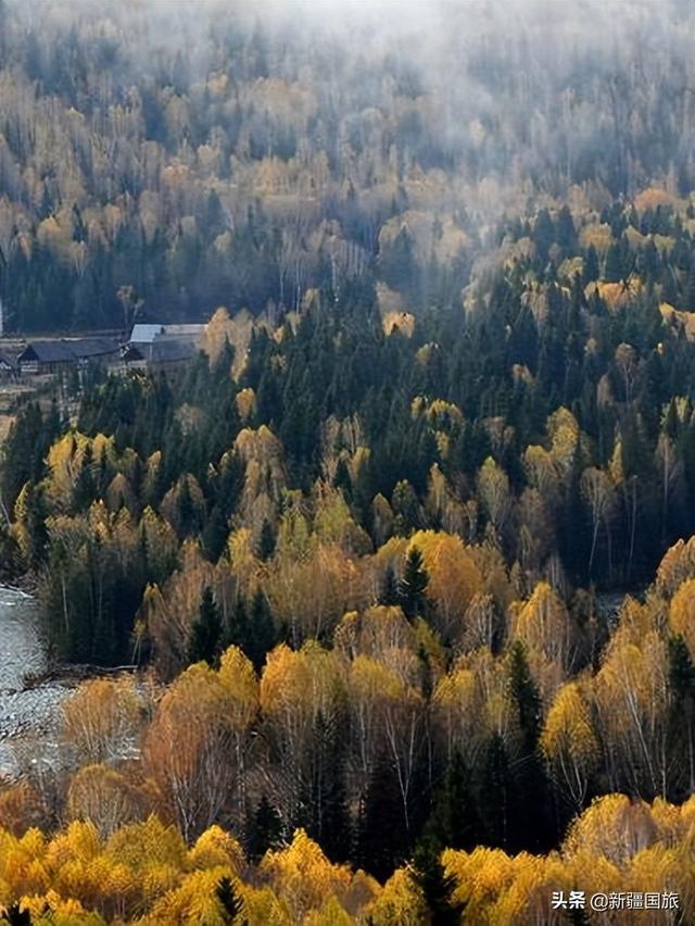 胡天八月即飞雪上一句，胡天八月即飞雪上一句诗句是什么（来这个中国西部最北端的乡小住一个月）