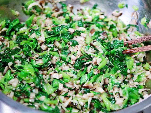 茴香苗包子馅的做法，荤香苗素包子馅的做法（试试这款冠军蔬菜）