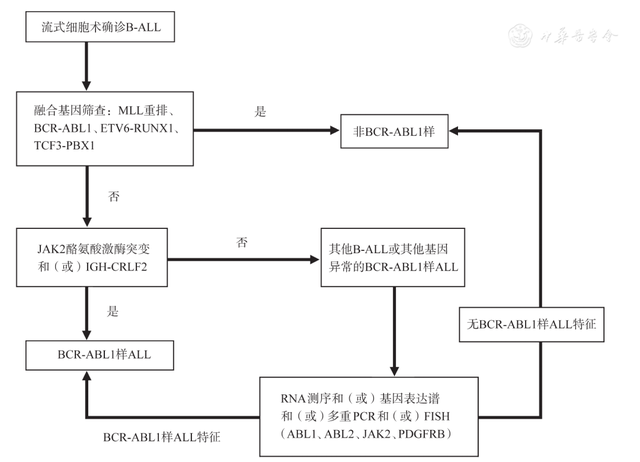 VCR是什么意思，支路vcr是什么意思（中国成人急性淋巴细胞白血病诊断与治疗指南）