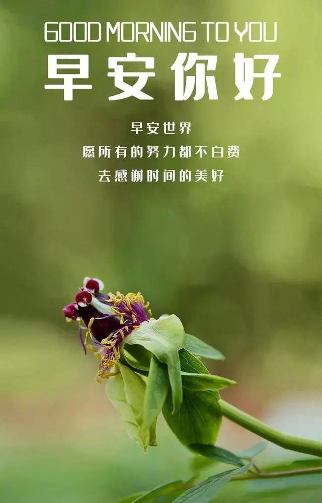工作励志正能量文案，正能量满满的励志句子有哪些（早安心语，正能量努力工作文案）