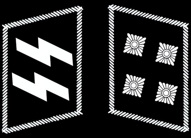 三星两杠什么军衔，关于军衔等级介绍（二战德国党卫军军衔简介）