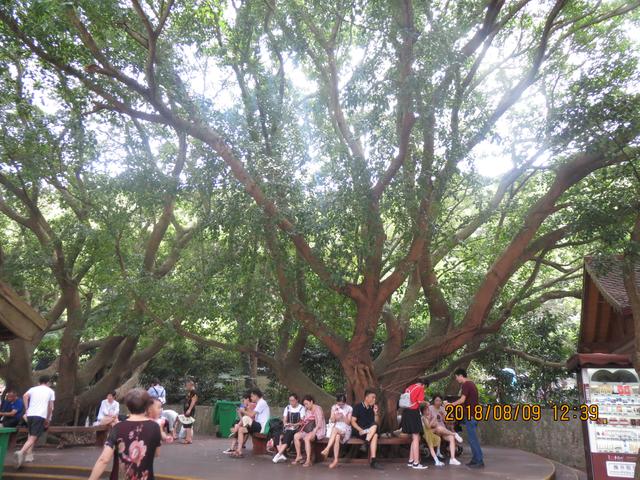 好听的兄弟名名字，好听的兄弟名名字两个字（名字趣谈）