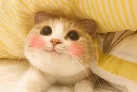 国考一般要准备几个月，参加国考需要几个月时间准备（如何通过一个月左右准备上岸）