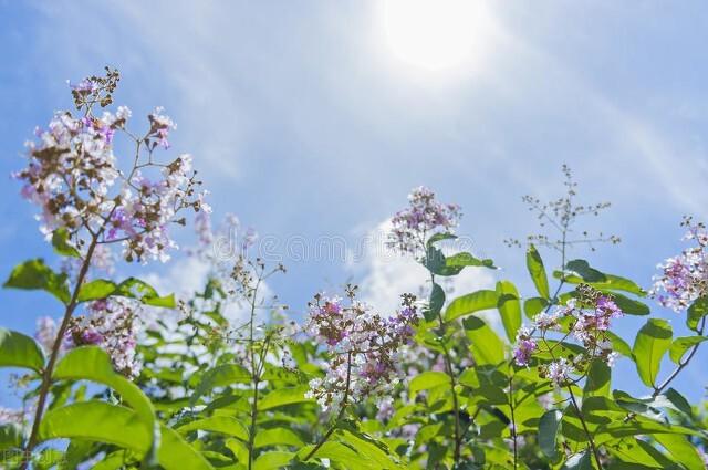 生活中有规律的现象和事物是什么，生活中哪些事物是有规律的（一个人开始走上坡路的12种现象）