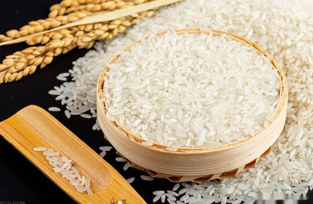 牛肉山药粥做法，牛肉山药可以煮粥吗（我家最爱的懒人“早粥”）