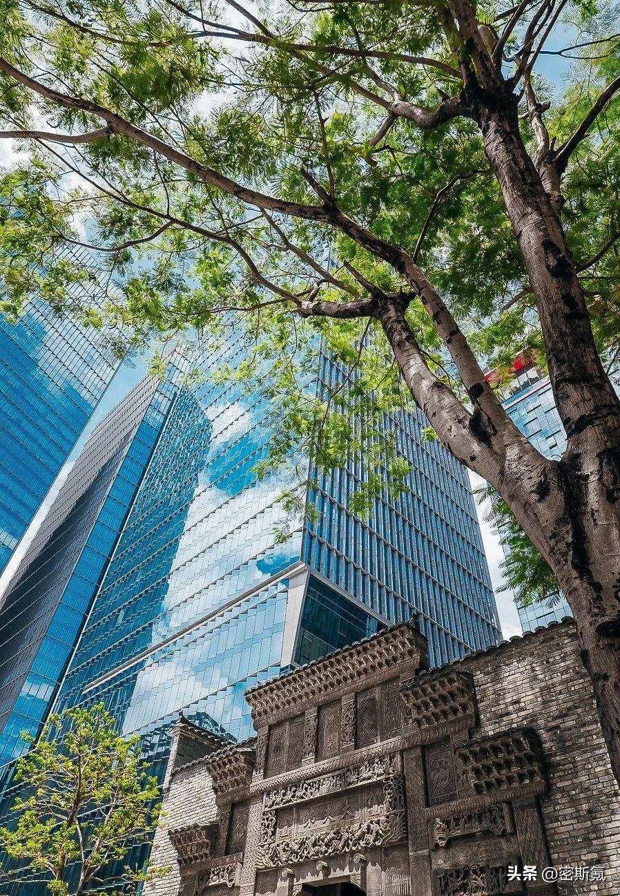 深圳市有几个区(深圳市南山区有几个街道)