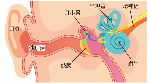 正确的掏耳朵方法图解，教你掏耳朵的正确姿势！（关于掏耳屎不得不看的小“掏”技巧）