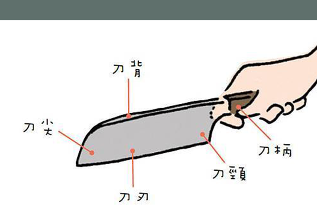 桑刀是什么刀，家用桑刀还是切片刀（中国人对刀工有执念吗）