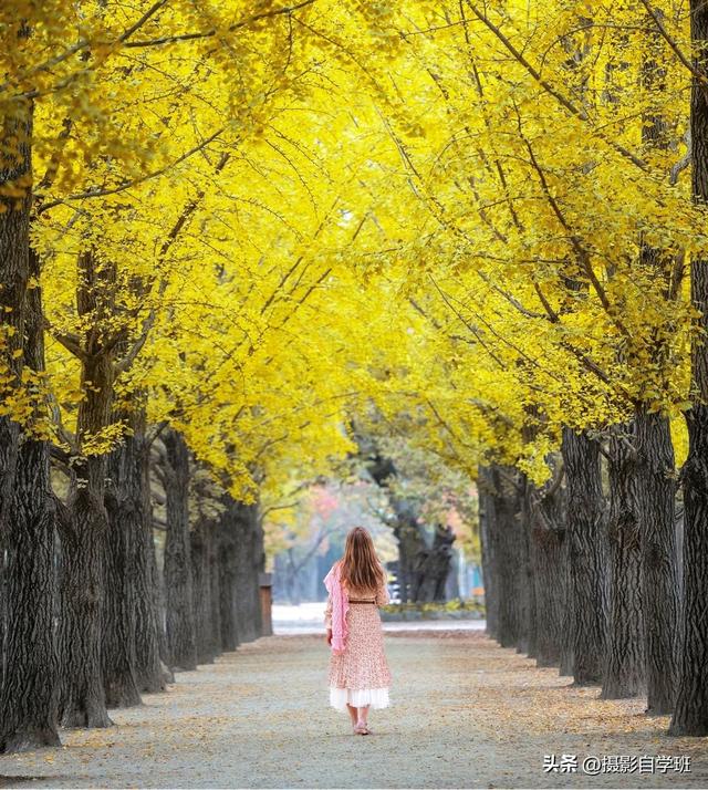 怎么拍照才好看，如何拍照好看10个简单拍照姿势（5个人像摄影技巧）