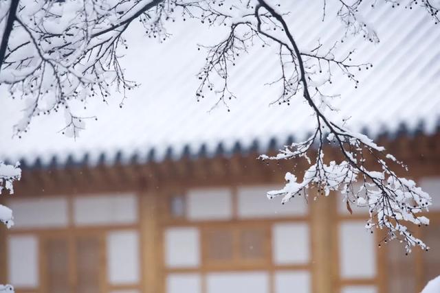 形容雪景的诗句，形容雪景的诗句李白（写雪最美的10首诗词）