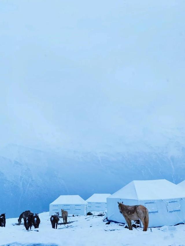 四姑娘山旅游攻略，四姑娘山游玩攻略（仙境也不过如此了吧❤️绝美四姑娘山攻略2⃣️）