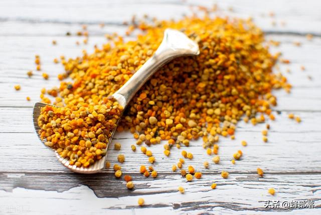 花粉怎么吃，蜜蜂花粉怎么吃（​蜜蜂花粉在蜜蜂发育过程中有何妙用）