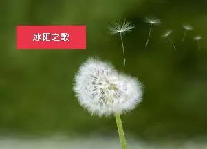 人物采访稿范文，校园采访稿（冰阳‖名家访谈）