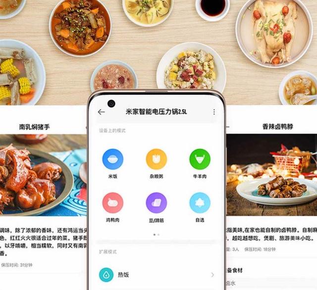 电压力锅炖排骨，电压力锅炖排骨做法（攻略+横评+实测）