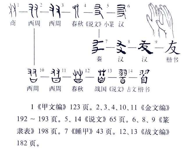 友的偏旁部首是什么，汉字的偏旁部首大全完整版（《说文解字》555课）