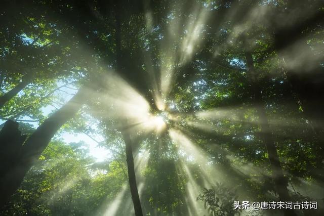 梅子黄时是什么季节，三衢道中梅子黄时是什么季节（清新明快的初夏）