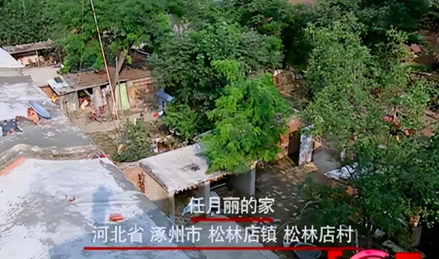 西单女孩 春晚，西单女孩任月丽捐款5万（11年前凭春晚走红,发誓要做第二个董明珠的