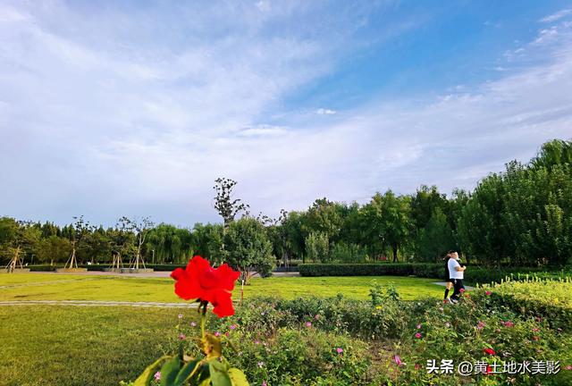 郑州龙湖湿地公园现状分析，河南郑州龙湖湿地公园秋色初露