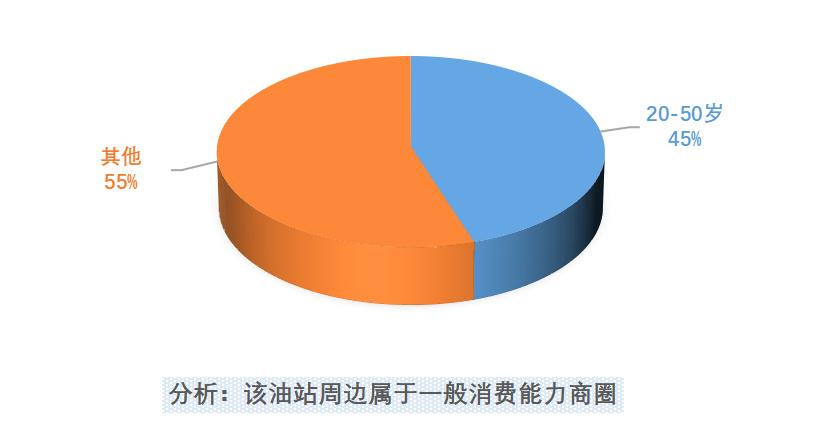 加油站营销方案成功案例（一场活动近乎100）