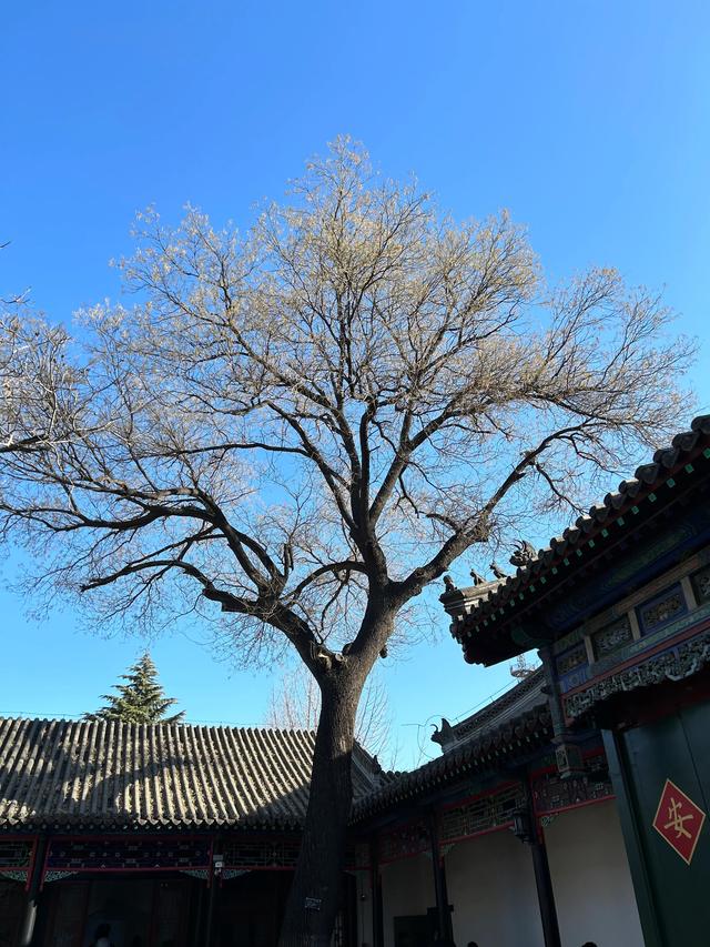 保定旅游必去的景点，随图带你逛保定市区火热的4大景点