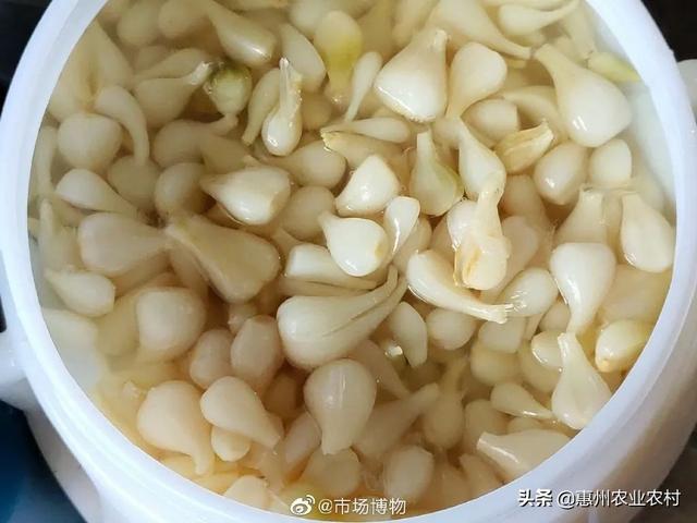 蔊菜与荠菜的图片区别，荠菜长什么样子图片（据说这些是惠州菜市场“最难买”的野菜）