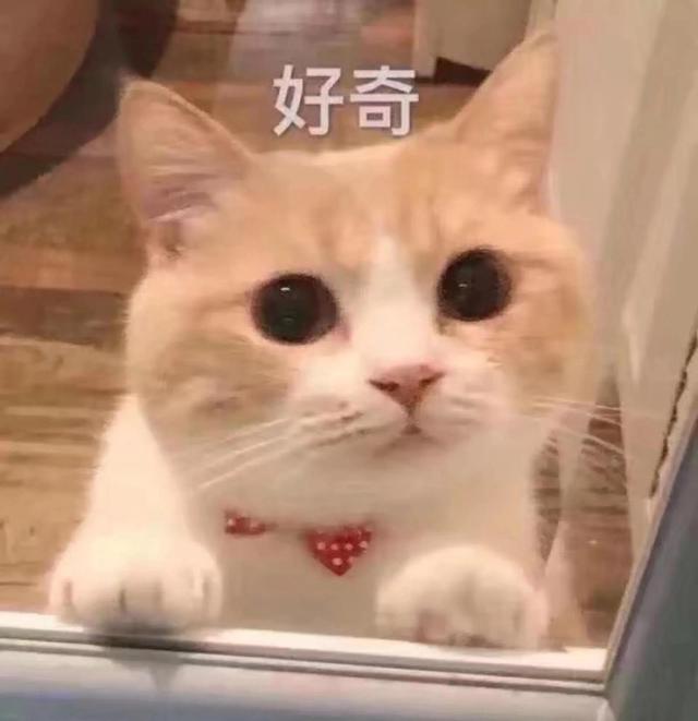 国考一般要准备几个月，参加国考需要几个月时间准备（如何通过一个月左右准备上岸）