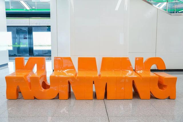 豹龟结石，昆明地铁5号线，首！发！见（肾结石会有啥症状）