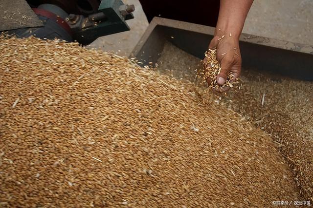 2022年最可能暴涨的东西，2022什么东西最可能暴涨（未来几个月，4样东西可能调价）