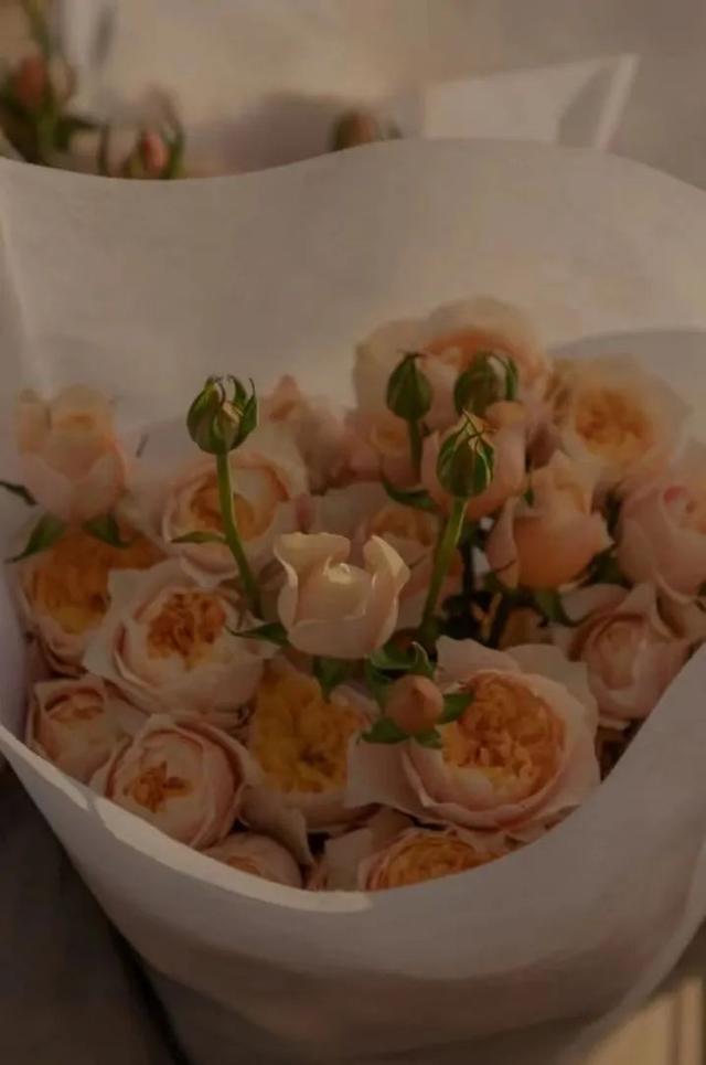 云南最好吃的野生菌在哪，中国最浪漫城市非她莫属