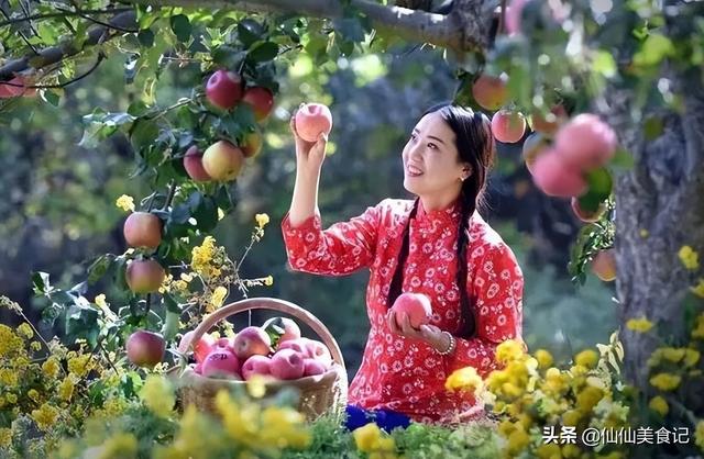 哪种形状的苹果好吃，苹果哪样的好吃（这4个地方还不错）