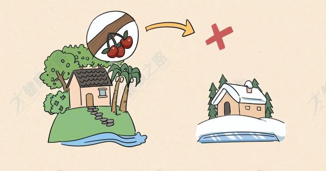 时令水果一览表，水果季节时令水果月份（照着这份当季水果表挑，准没错）