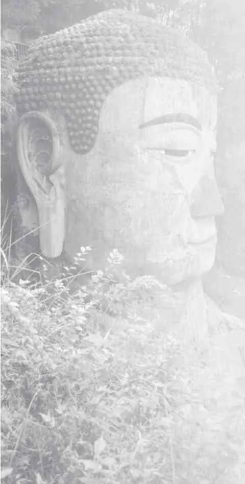 乐山大佛在四川哪里，乐山大佛在哪个省（“乐山大佛”你真的了解吗）