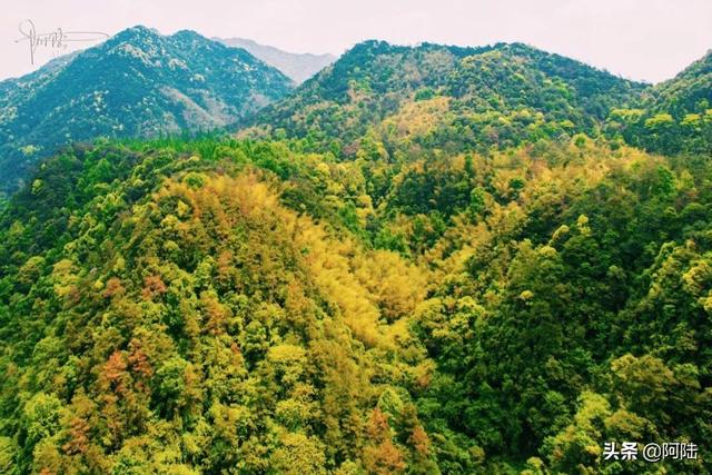 关于诸暨五泄风景区介绍，诸暨五泄风景区图片（今年的船票价格涨了一倍）