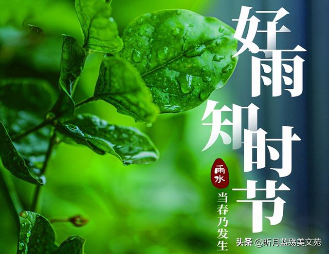 关于雨的唯美句子,形容雨的唯美句子(雨水:一场春雨一场暖)