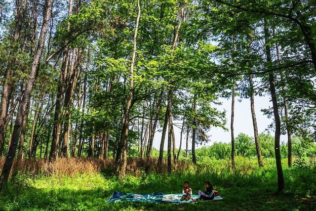 武义县景点，武义县十大旅游景点（浙江武义这个古村与湿地相连）